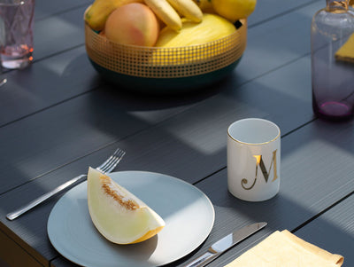 Rio Alu Extendable Dining Table