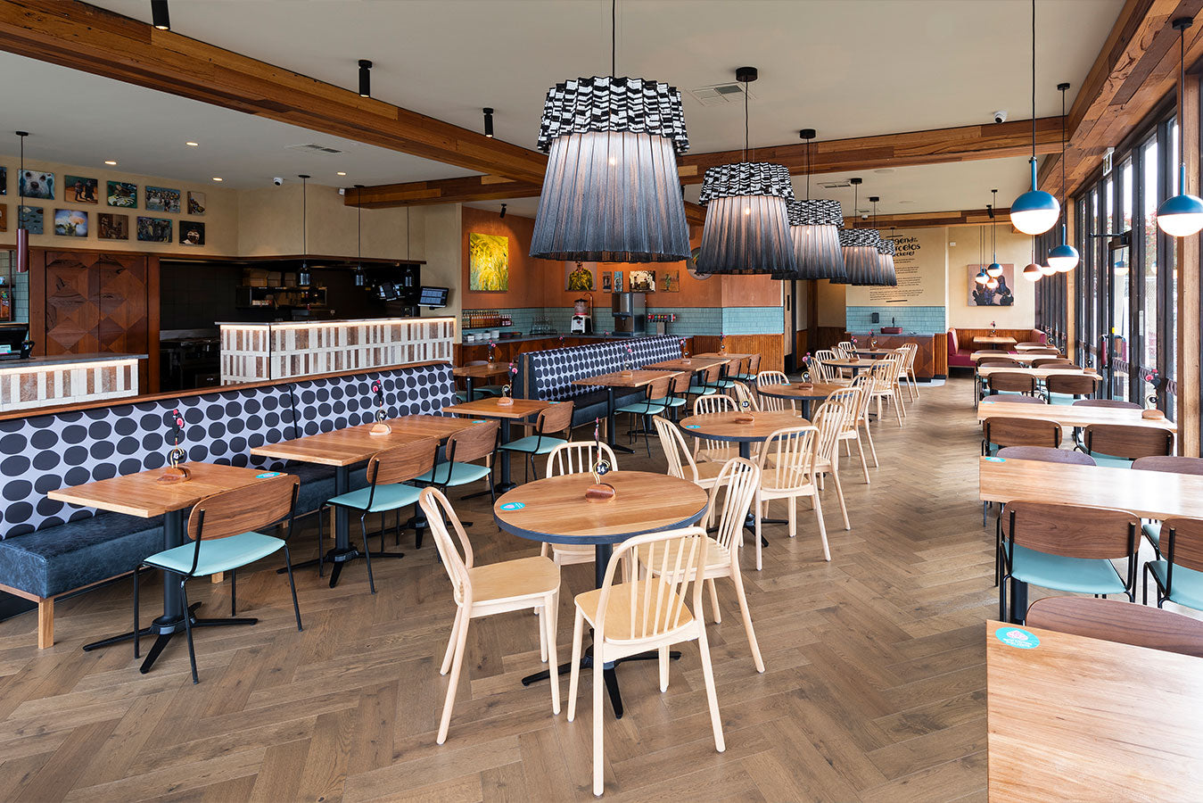 Nando's Melton – furnitureoptionsperth