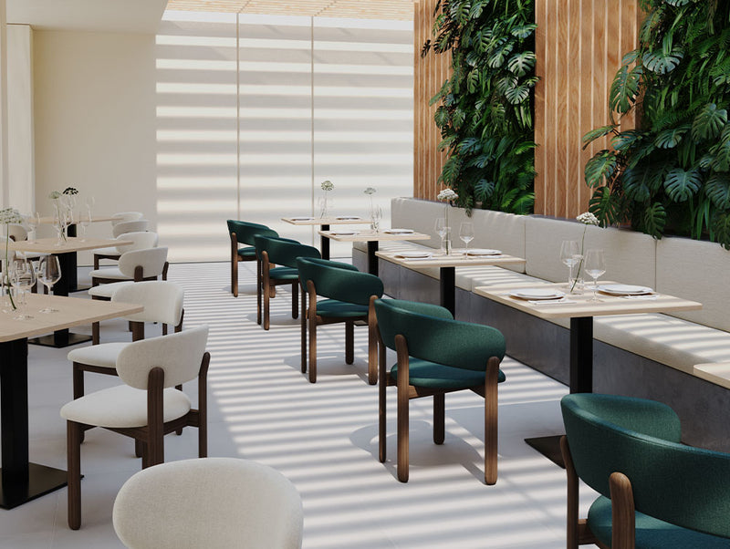 Boab Armchair
