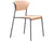 Lisa Timber Side Chair