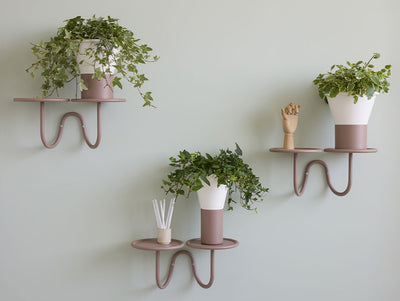 Mimosa Wall Mounted Plant Holder