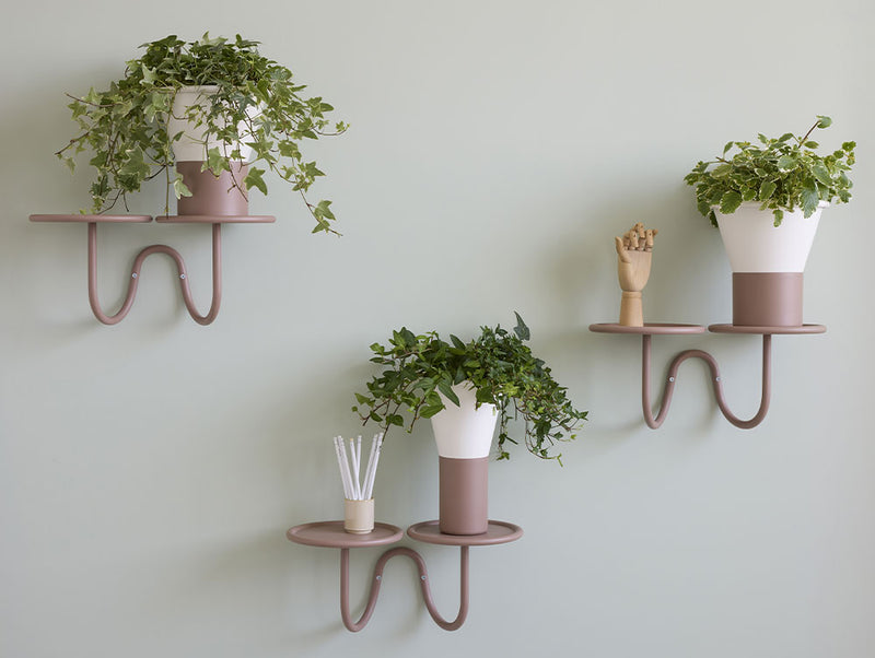 Mimosa Wall Mounted Plant Holder