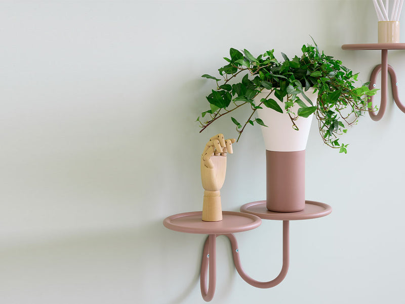 Mimosa Wall Mounted Plant Holder