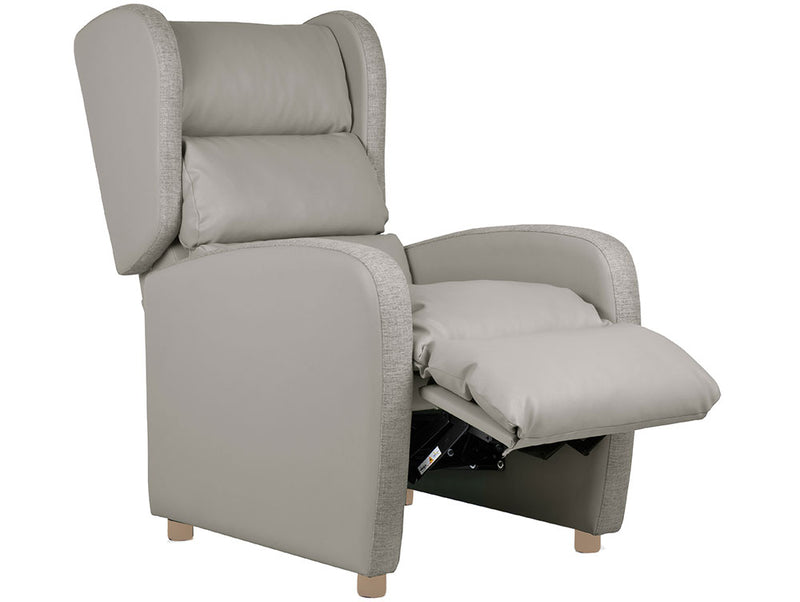 Charlotte Electric Recliner